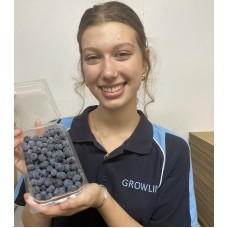 SPRAY FREE BLUEBERRIES 400 Gram Punnet Katikati Grown