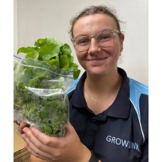 SPRAY FREE ROCKET 200 Gram Bag - Grown In Katikati